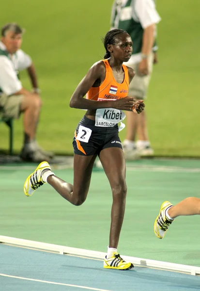 Hilda kibet van Nederland — Stockfoto