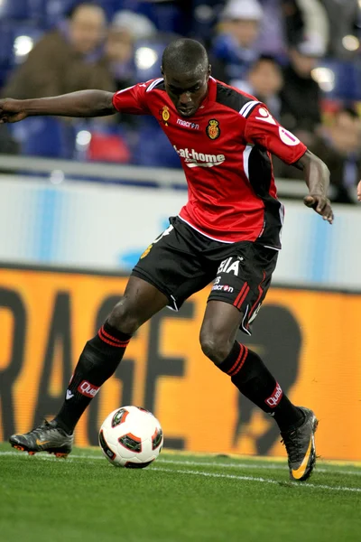 Michael pereira Mallorca