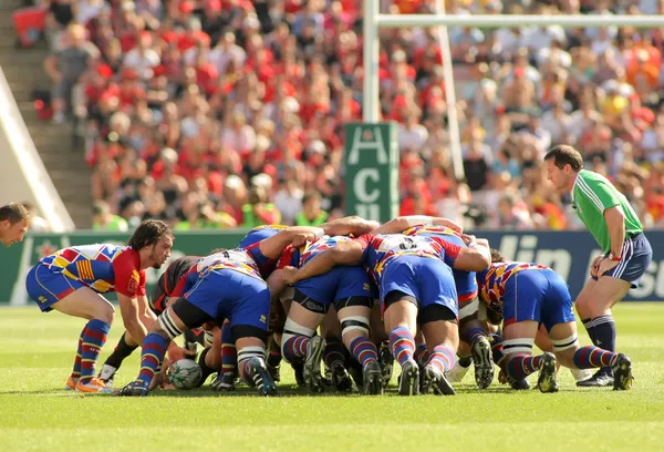 scrumming usap perpignan oyuncular