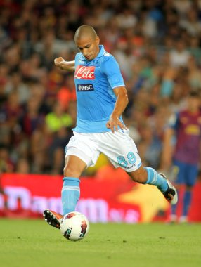 Gökhan inler ssc Napoli