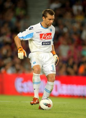 ssc Napoli Morgan de sanctis