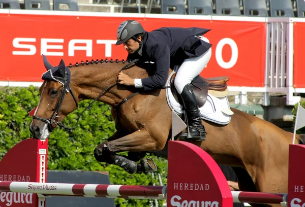 Mateu Vivas in action rides horse Wienta Parflan — Stock Photo, Image
