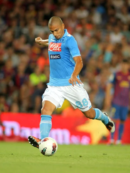 Gökhan inler ssc Napoli