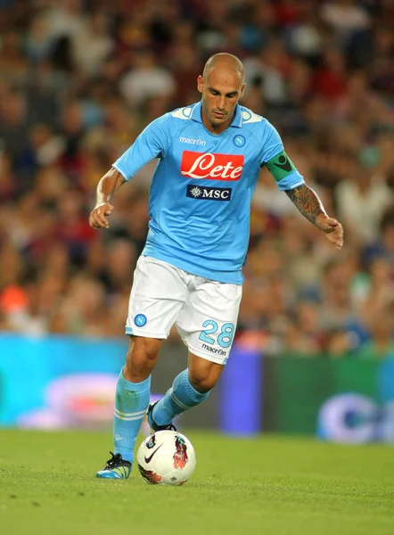 Paolo cannavaro ssc Napoli