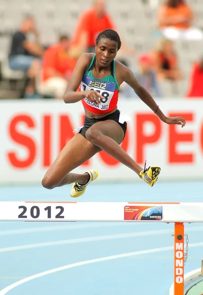 Daisy Jepkemei de Kenia pendant 3000 mètres — Photo