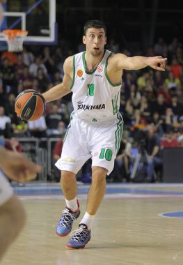 Roko ukic panathinaikos