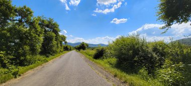 Buğday tarlasının yanındaki yolda bataklık ve su birikintisi..