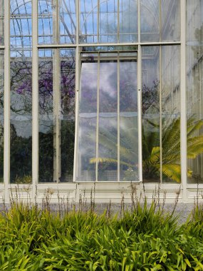 Pencere Bahçeye Bakıyor