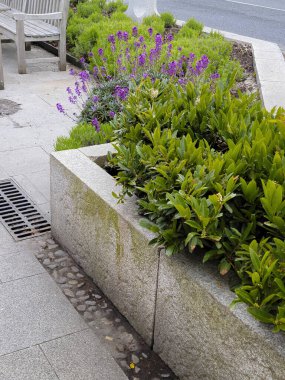 Duvar dış kaplamalı ev mimarisi kaldırımı ve ekicide çok renkli sarı çiçekler Charleston, Güney Carolina 'da süs olarak kullanılıyor.