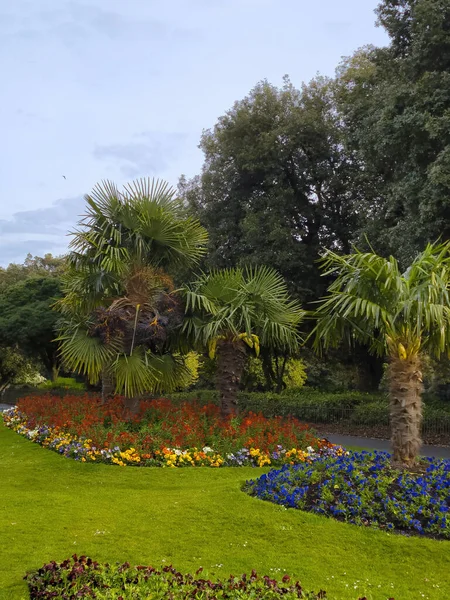 Искусственные Цветы Утрам Английском Парке — стоковое фото
