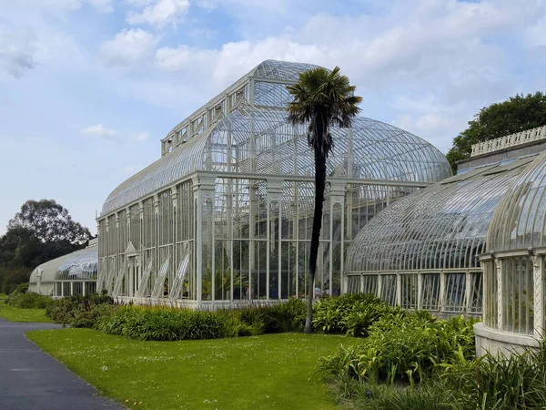 ポズナンのウィルソナ公園にあるパルミニアの建物 市内の美しいガラスの家 温室内の植物 — ストック写真