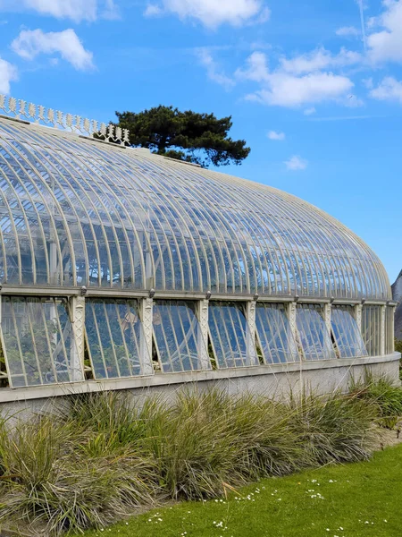 Green phyto lamps for plant growth in winter in greenhouse, tropical plants under grow light inside of glasshouse in botanical garden during wintertime, hothouse with icicles hanging from roof edges