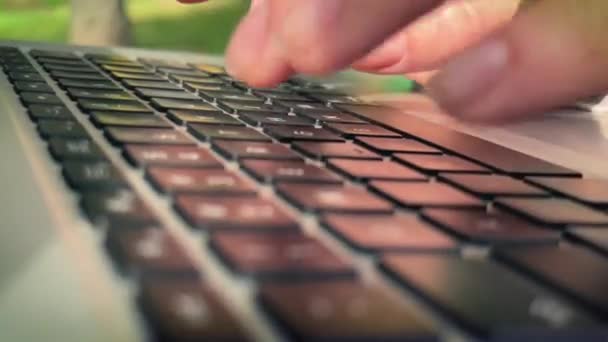 Dedos de mulher digitar texto no teclado, close-up — Vídeo de Stock