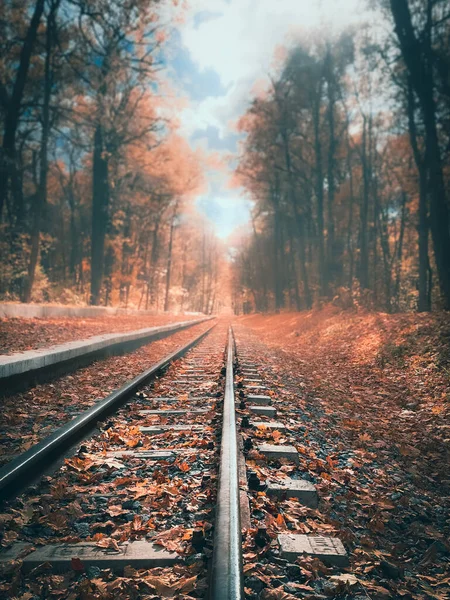 Sonbahar ormanındaki platformun yanındaki raylar.