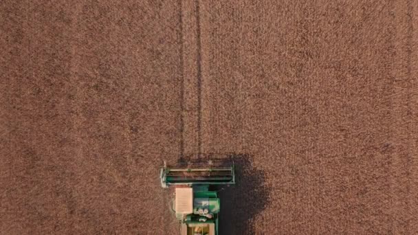 Autônomo verde Combine colheitas de milho amarelo no outono — Vídeo de Stock
