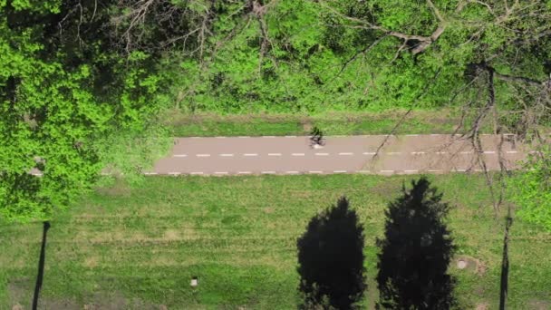 Passeios de ciclista ao longo da ciclovia no parque em um dia de primavera: vista de alto ângulo — Vídeo de Stock