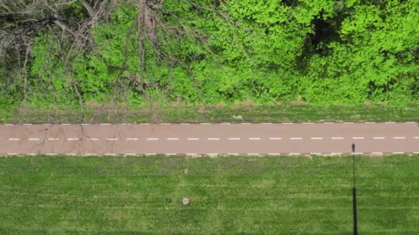 Radler fährt an einem Frühlingstag auf dem Radweg im Park: Kamerafahrt aus dem Hochwinkel — Stockvideo