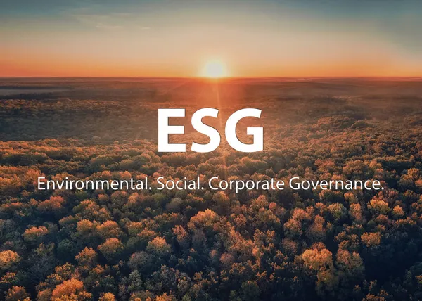 ESG Nachhaltiges Umweltschutzkonzept. Sonnenaufgang über dem herbstlichen Wald am nebligen Morgen. — Stockfoto