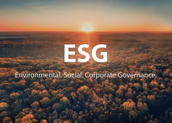 ESG Sürdürülebilir Çevre Koruma Konsepti. Sisli bir sabahta sonbahar ormanının üzerinde gün doğumu.