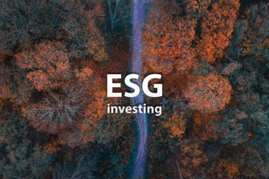 ESG Sürdürülebilir Çevre Yatırım Konsepti. Sonbahar ormanı Top View manzarası.