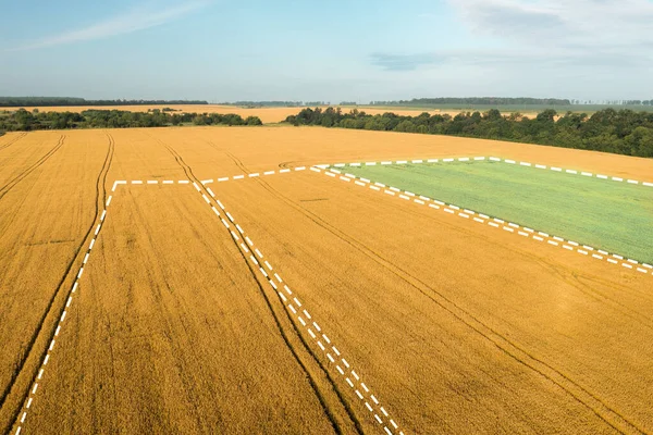 Terreno de campo de venta para agronegocios. Terreno en venta e inversión: plano de dron aéreo con espacio para copias. — Foto de Stock