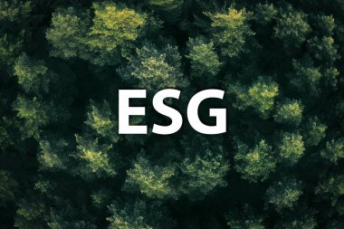 ESG Sürdürülebilir Çevre Koruma Konsepti. Güneşli bir sabahta yeşil yağmur ormanı, üst manzara.