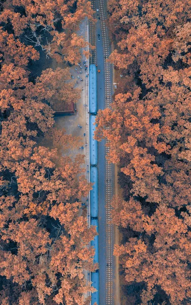 Tren azul con coches en la estación en el hermoso bosque de otoño - vista superior tiro con drones — Foto de Stock