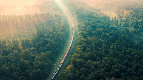 Carga de trem atravessa a floresta no nevoeiro ao amanhecer em uma manhã de verão - tiro aéreo — Fotografia de Stock