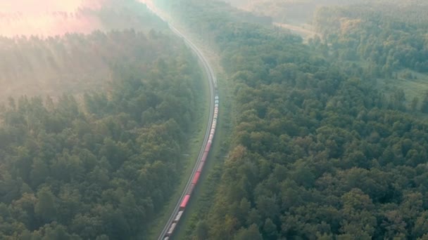 Вантажний поїзд їде між зеленими лісовими деревами - повітряний дрон відстежує постріл . — стокове відео