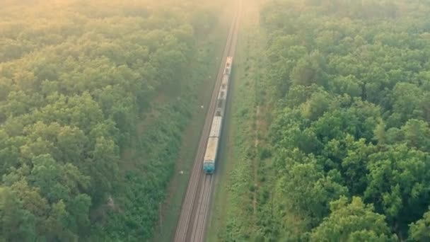 Train avec des wagons se déplace sur les rails du chemin de fer - vue sur le drone supérieur le matin d'été. — Video