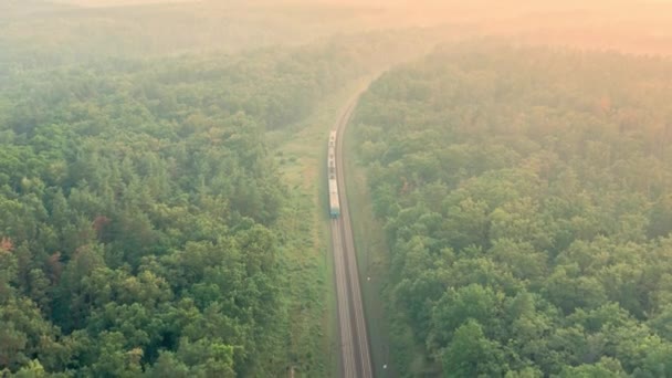 Passenger train goes far away between green forest trees - aerial drone tracking shot. — ストック動画