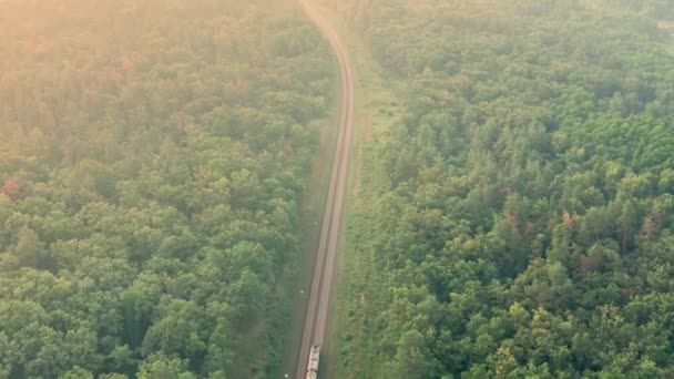 Cargo train goes far away between green forest trees - aerial Coming Into Drone Shot. — 图库视频影像