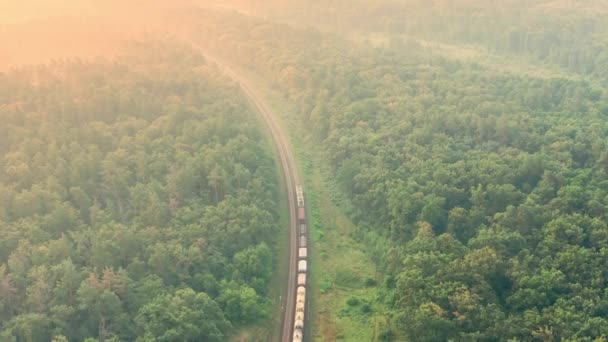 Cargo train with tank cars goes far away between green forest trees - aerial Coming Into Drone Shot. — Vídeo de Stock