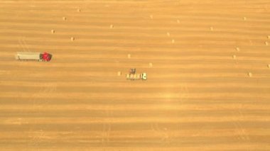 Traktör yükleyicisi buğday tarlasında bir kamyonun arkasına saman ve saman yükler - üst görünüm