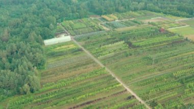 Peyzaj Tasarımı için Ağaç Bakımı - İHA üst görünümü