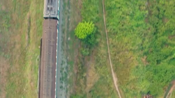 Traversées en train de voyageurs entre les arbres - plan aérien de suivi des drones. — Video