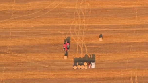 Tractor con heno apriete El accesorio carga heno y paja en el remolque del camión en el campo de trigo - vista superior — Vídeos de Stock