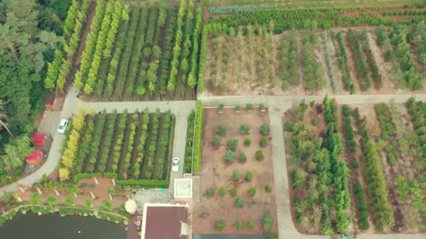 Tree Nursery for Landscape Design - drone aerial shot — 图库视频影像