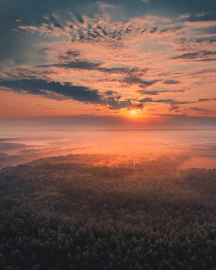 Beautiful sunrise over pine forest: sun rays illuminate tree tops through the fog: aerial drone shot