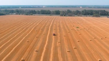 Sarı buğday tarlasında saman balyaları - Tarım Arkaplanı: Drone hava görüntüsü