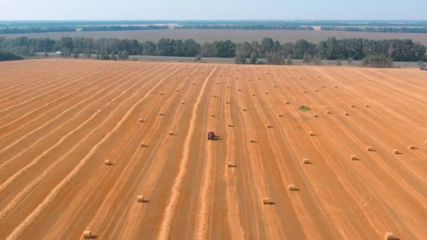 Fardos de heno en el campo de trigo amarillo - gastos generales Agricultura Fondo: Drone aerial View shot — Vídeos de Stock