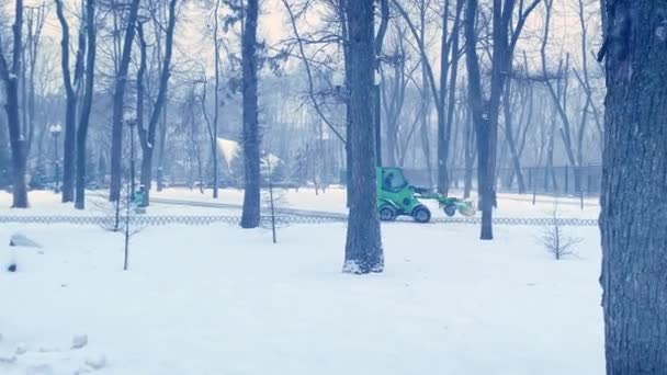 Snow blower works on snow removal in the park during snowfall — Stock Video