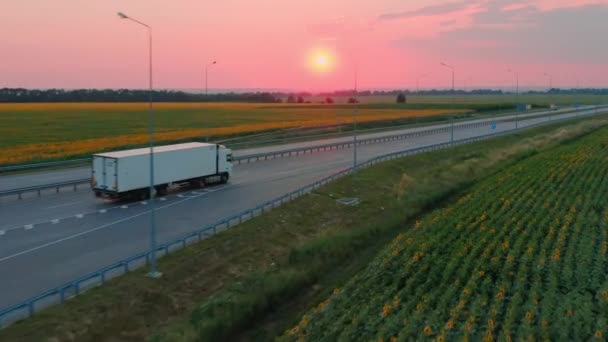 Camión blanco en movimiento con semirremolque en la carretera del país - vista lateral Drone tiro — Vídeo de stock