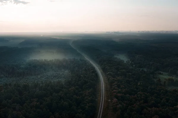 Ferroviária Vai Para Distância Uma Misteriosa Floresta Enevoada Drone Aérea — Fotografia de Stock
