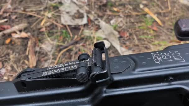 Escala Mira Visual Armas Automáticas Close Espingarda Assalto Kalashnikov Apontando — Vídeo de Stock