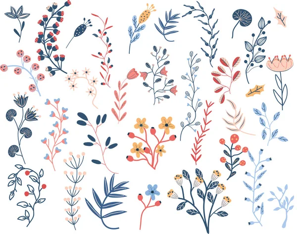 Grote collectie bloemen, bladeren, boomtakken, rode bessen. Scandinavische stijl. Wild Botanische elementen voor uw ontwerp. Eenvoudige minimalistische kleurrijke bloemen. Vectorillustratie. — Stockvector