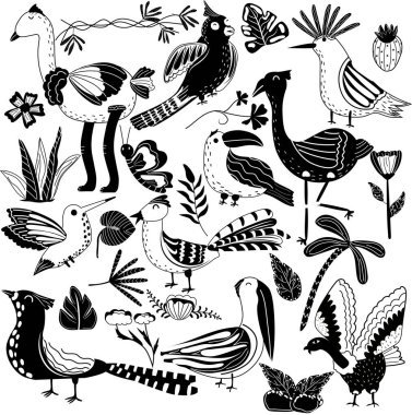 Siyah beyaz orman kuşları ve egzotik tropik yapraklardan oluşan bir koleksiyon. Afrika kuşları, flamingo, devekuşu, tukan, sinekkuşu, Hoopoe, akbaba, sülün. Vektör çizimi.
