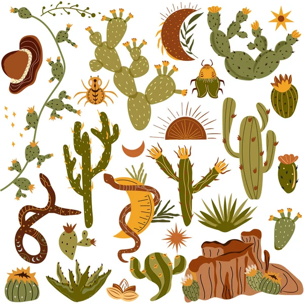 Meksika kaktüsü çiçekli ve aloe, yılan, örümcek. Çöl dikenli bitkileri topla. Tropik illüstrasyon. Vektör.