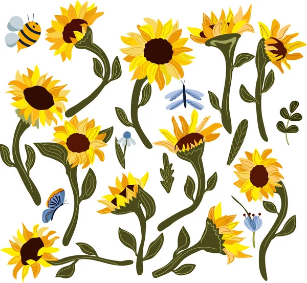 Collection sunflowers, wild meadow flowers and insect. Botanical illustration is suitable for printing posters, bags, postcards and other. Vector illustration