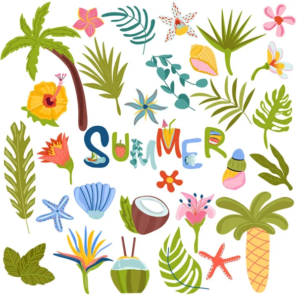 Conjunto de elementos de verano hojas tropicales, palma, frutas exóticas, cáscara, cócteles refrescantes, y otros. Letras de verano. Ilustración vectorial — Vector de stock